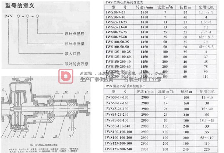 中強(qiáng)lWS雙葉輪化工泵