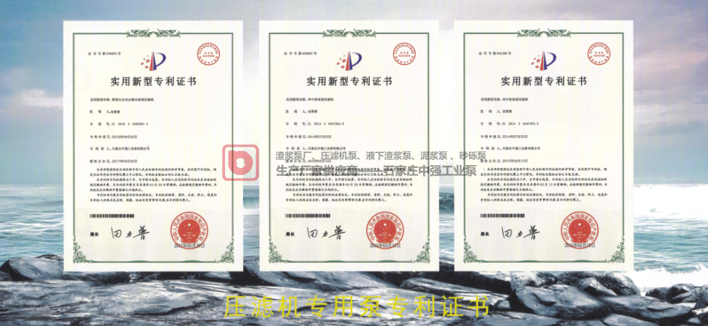 石家莊中強工業(yè)泵公司簡介